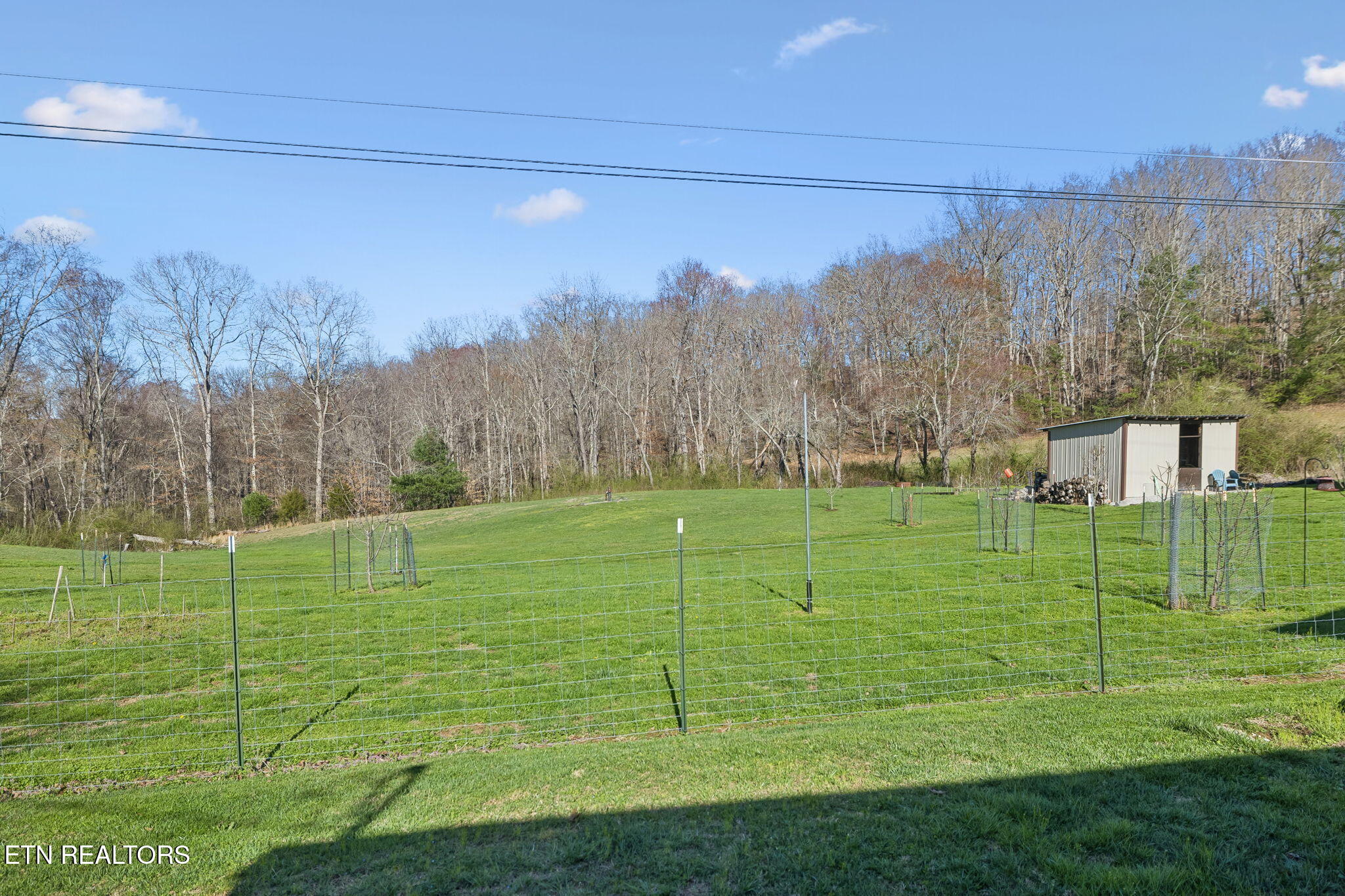 704 Pea Ridge Road Sunbright, TN 37872 - Photo 32 of 54 39-704 Pea Ridge Rd - 039