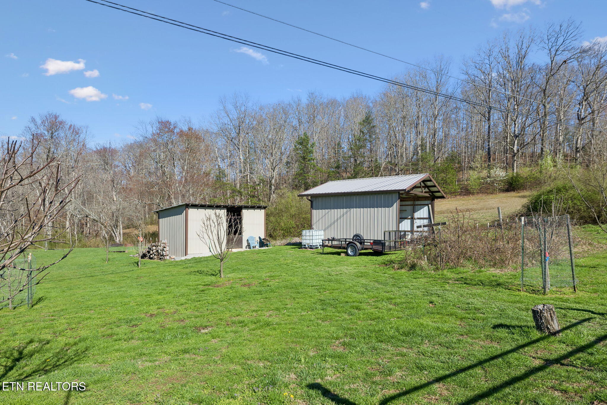 704 Pea Ridge Road Sunbright, TN 37872 - Photo 33 of 54 40-704 Pea Ridge Rd - 040