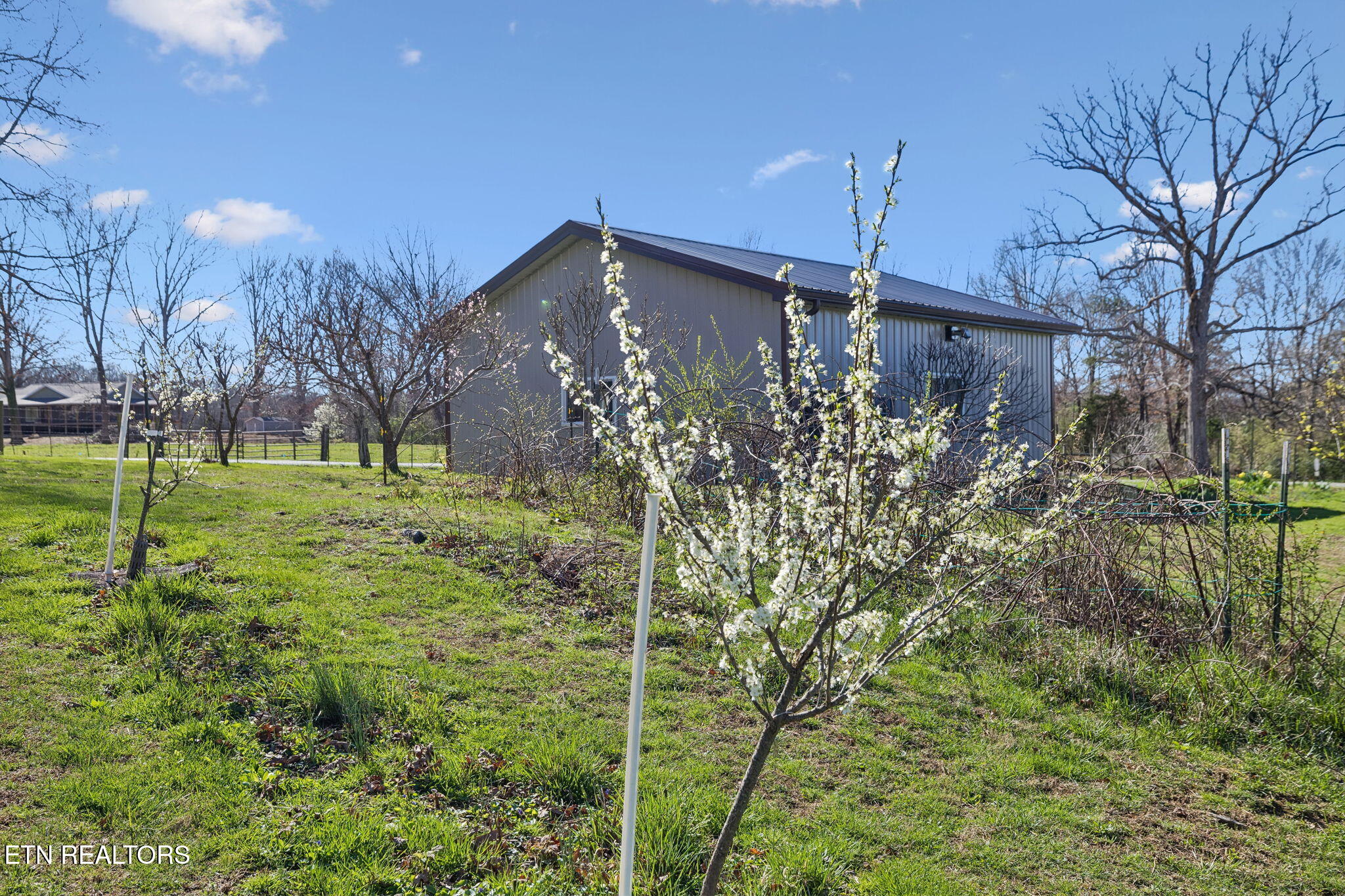 704 Pea Ridge Road Sunbright, TN 37872 - Photo 35 of 54 42-704 Pea Ridge Rd - 042