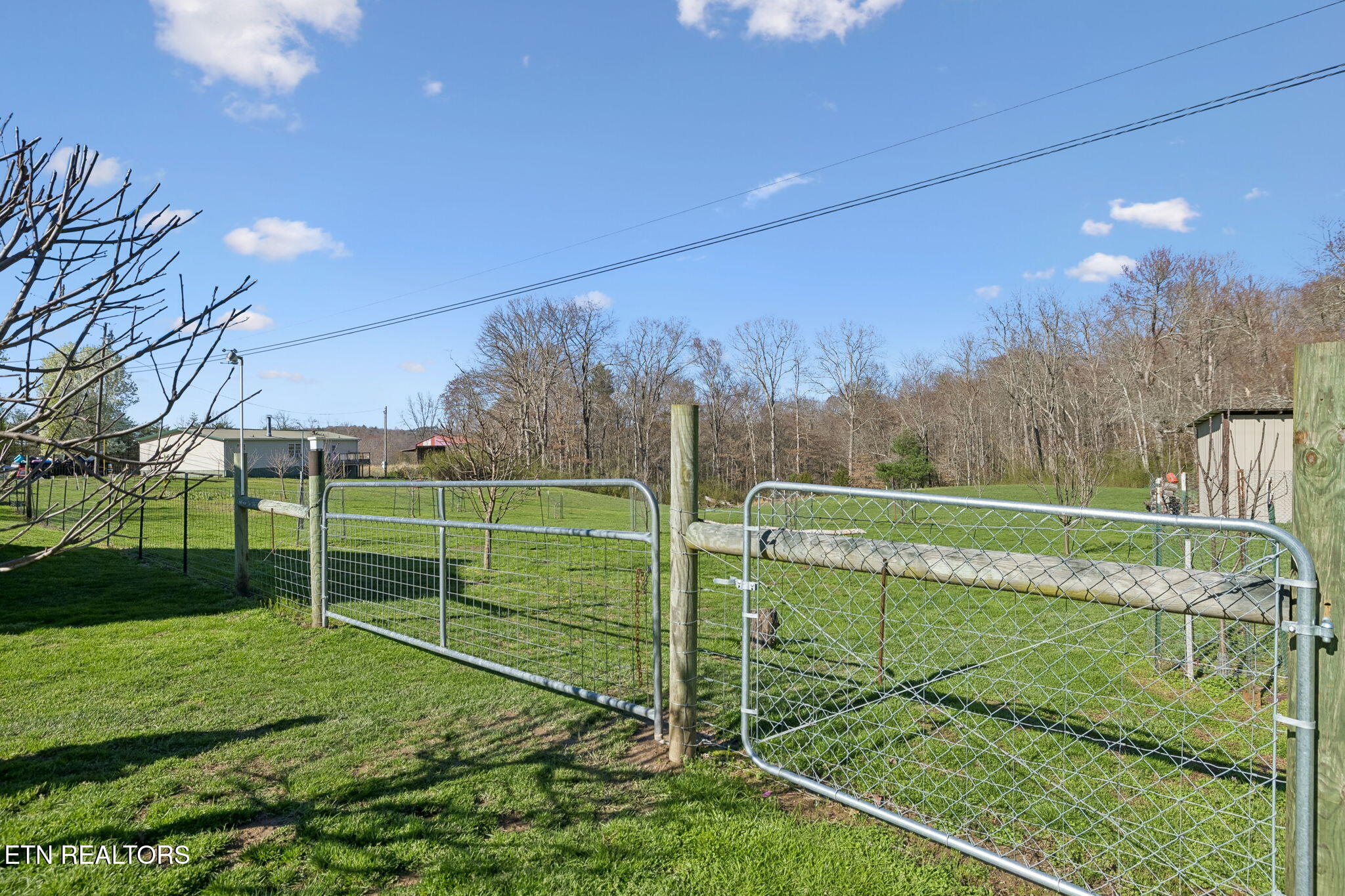 704 Pea Ridge Road Sunbright, TN 37872 - Photo 39 of 54 46-704 Pea Ridge Rd - 046