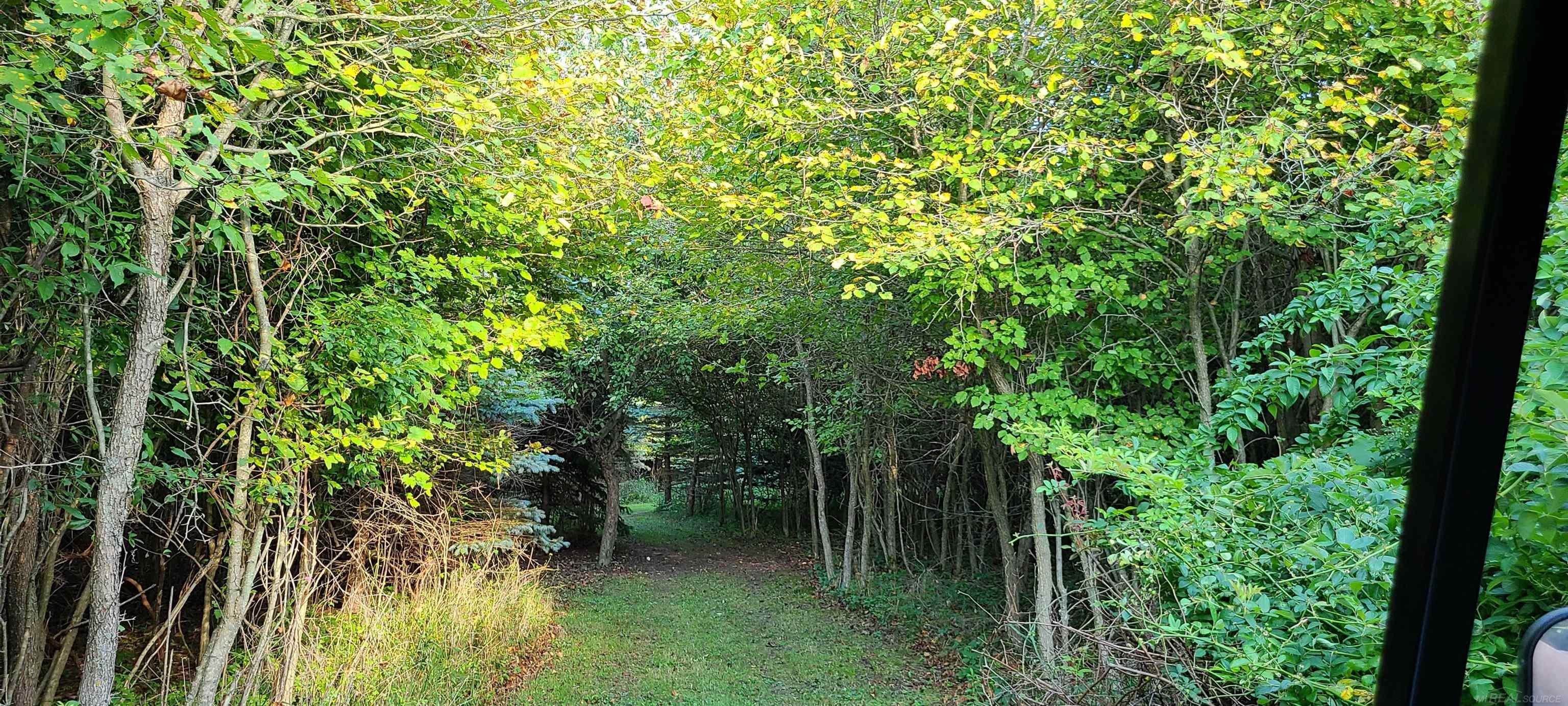 6653 Sheridan Line Road Lexington, MI 48450 - Photo 14 of 22