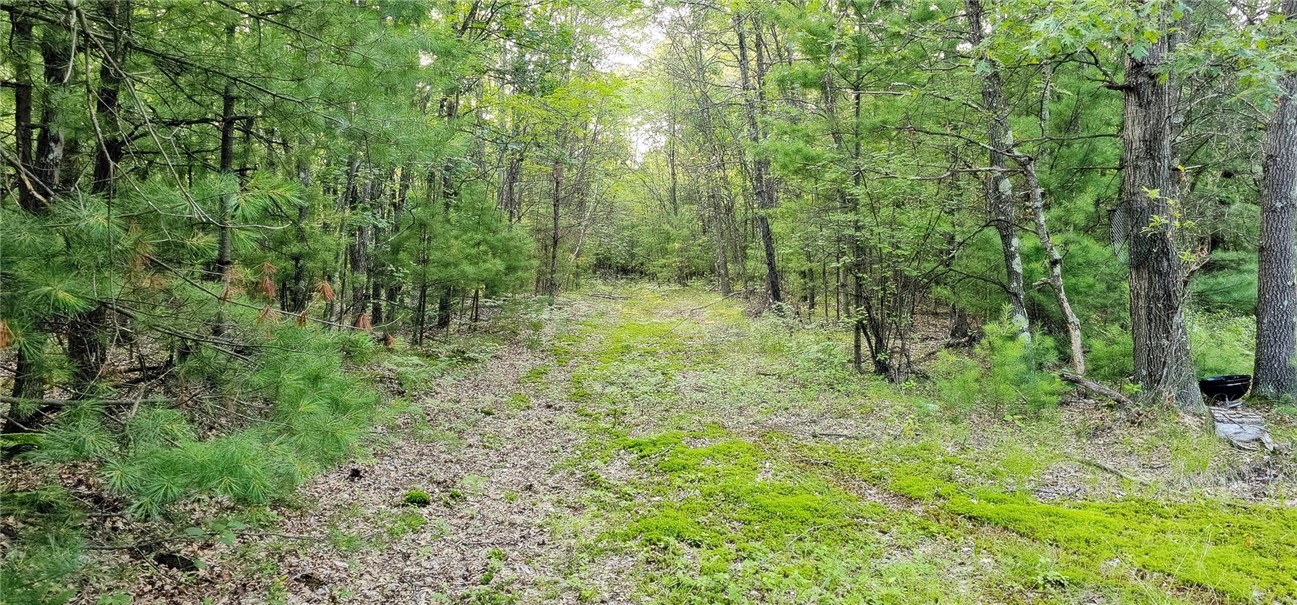 0 West Bauer Road Black River Falls, WI 54615 - Photo 5 of 9 Typical Terrain