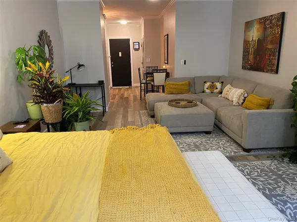 a living room with furniture and a potted plant