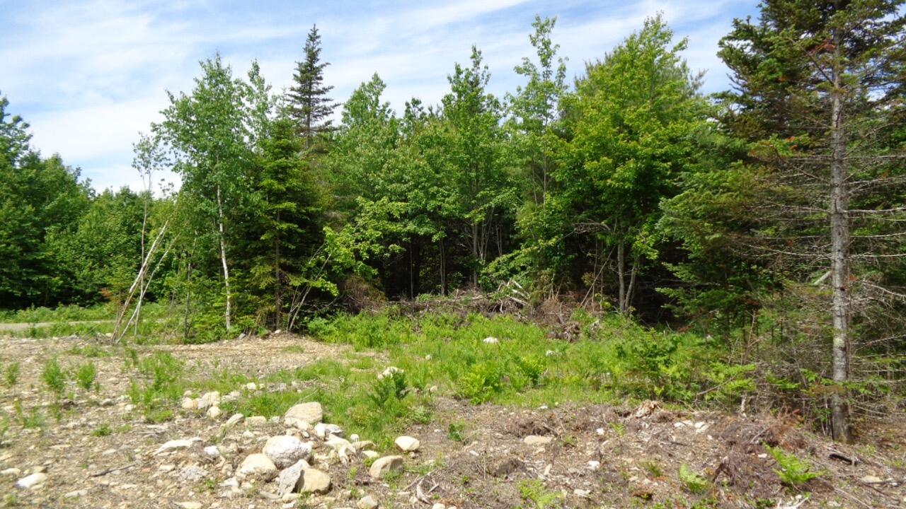 245 Sandy Ridge Lane Searsport, ME 04974 - Photo 3 of 6 DSC03693