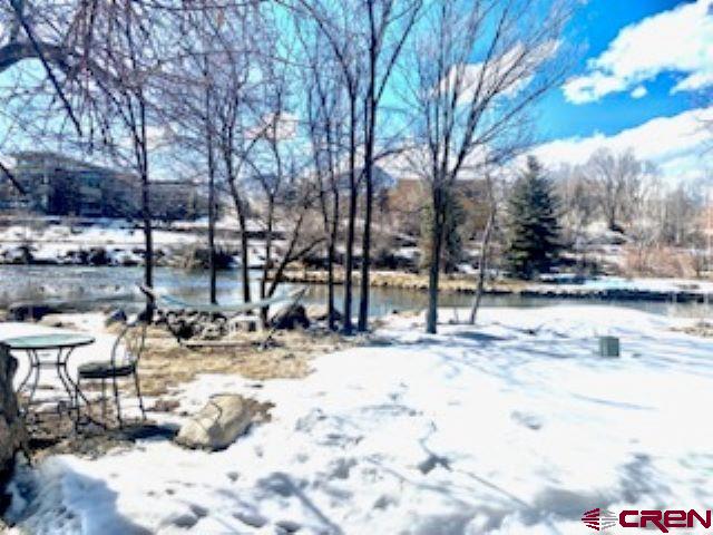 485 Florida Road, Unit B10 Durango, CO 81301 - Photo 19 of 19 a view of water with trees