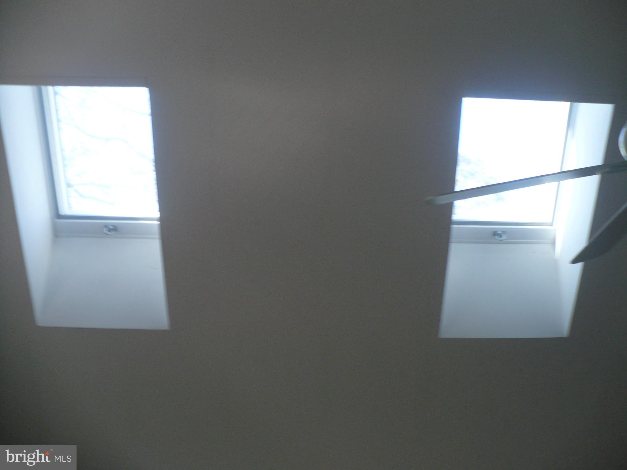 10 Mist Flower Road Berlin, MD 21811 - Photo 19 of 44 skylights in bones room