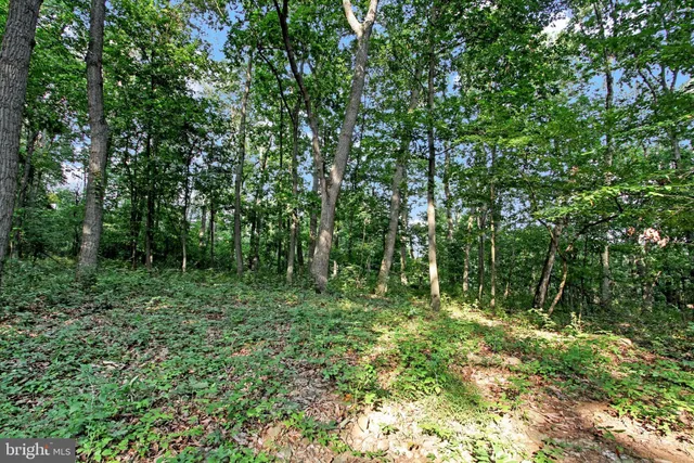a view of outdoor space and green space