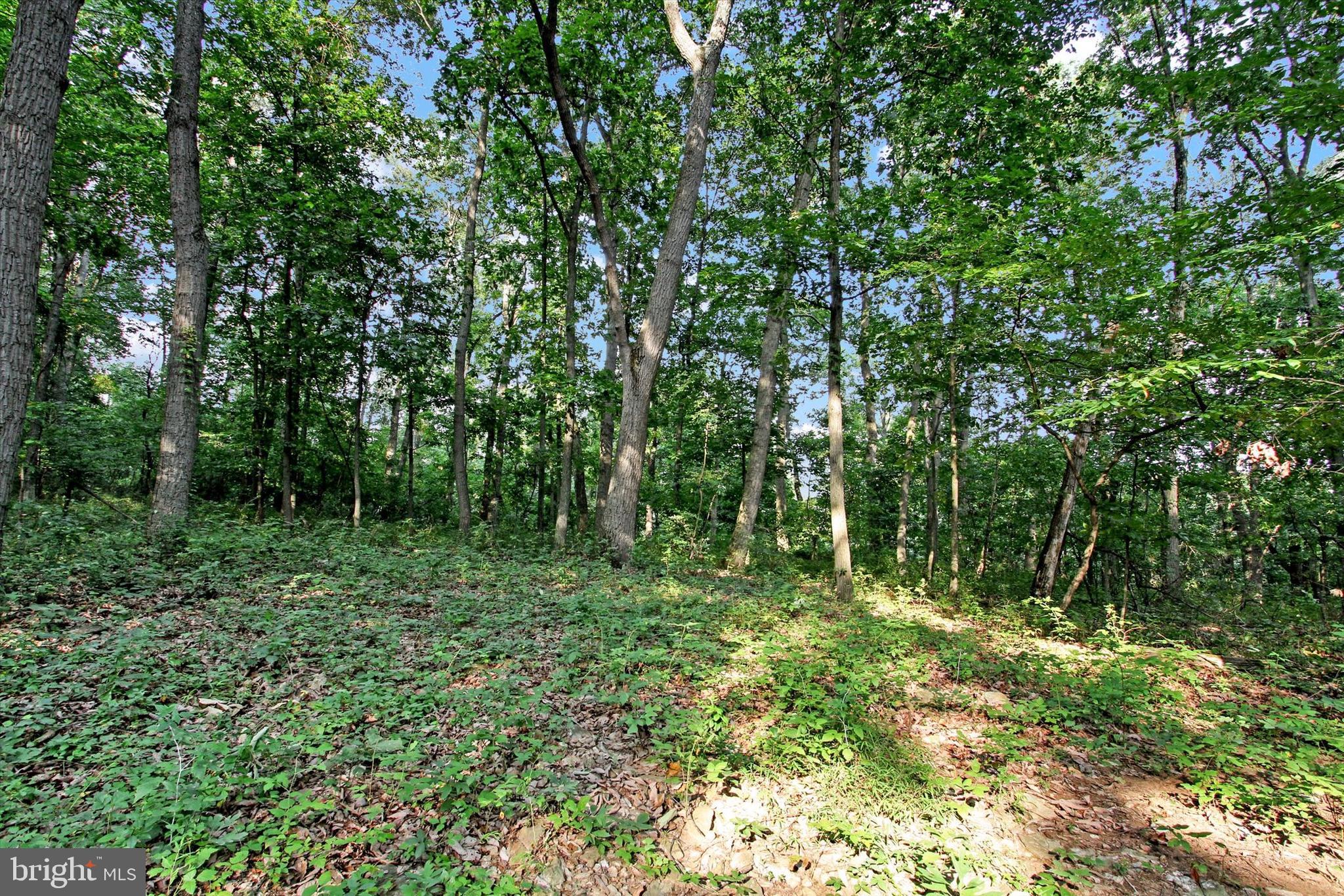 Falls Road Manchester, MD 21102 - Photo 12 of 43