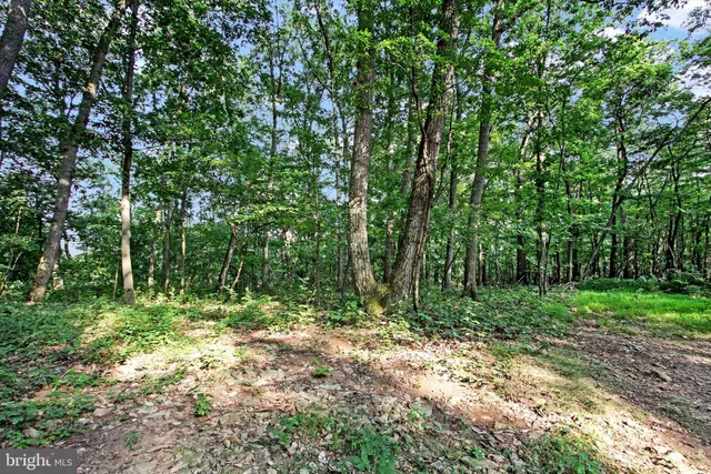 a view of outdoor space and green space