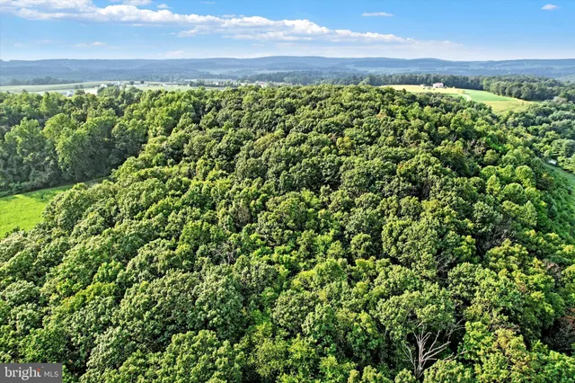 a view of a yard with an outdoor space