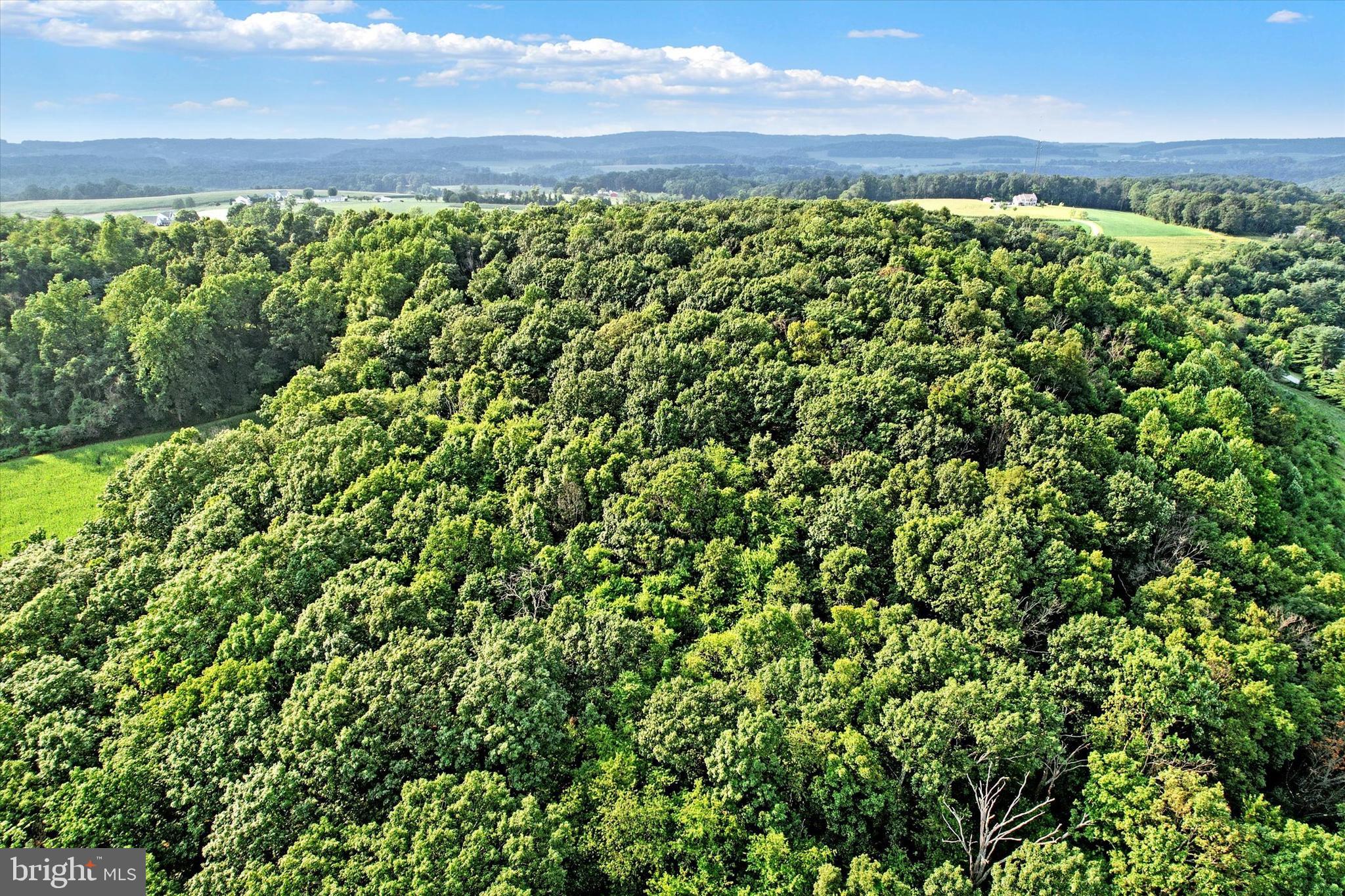 Falls Road Manchester, MD 21102 - Photo 17 of 43