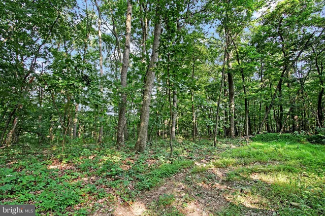 a view of outdoor space and green space