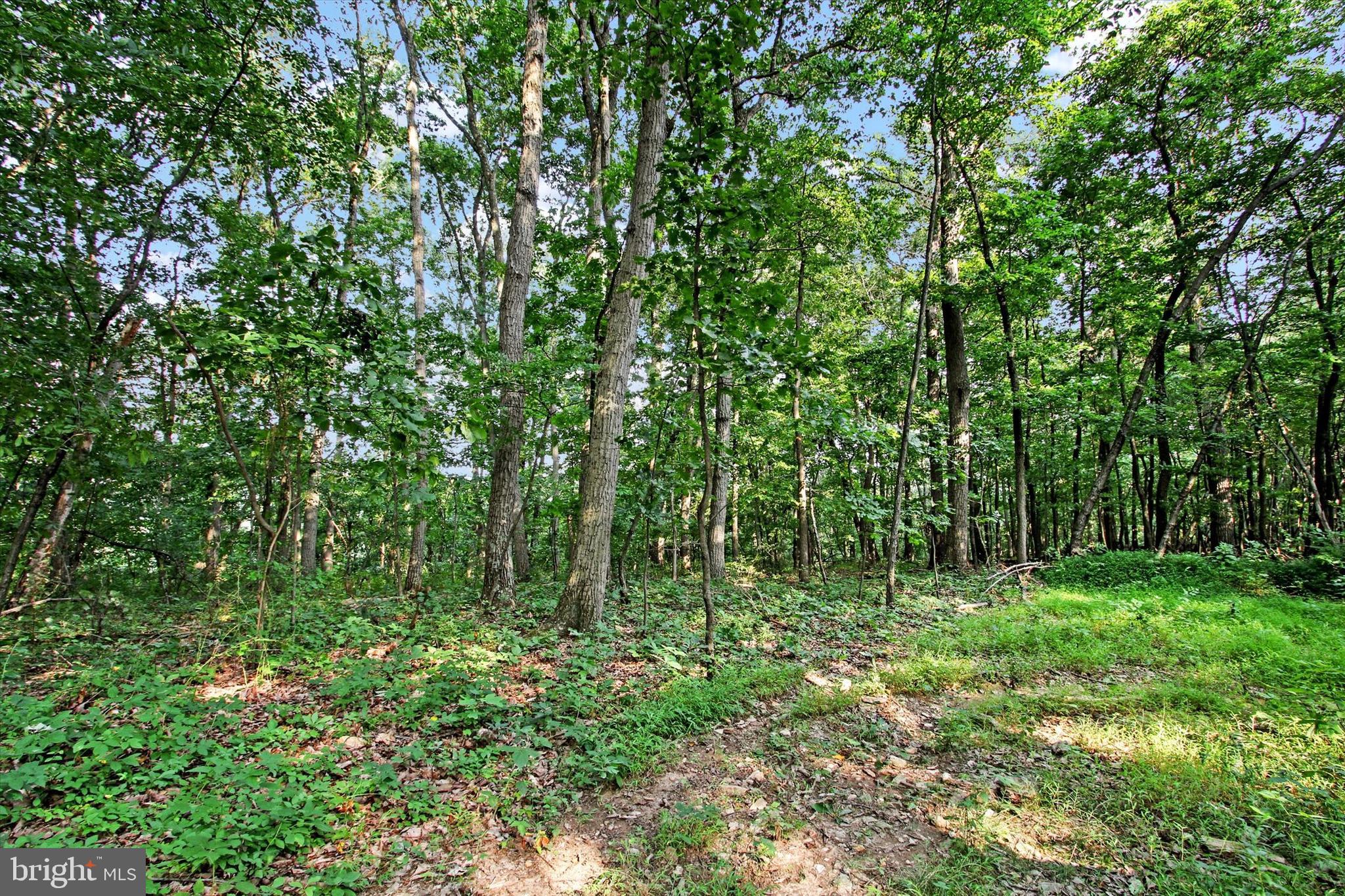 Falls Road Manchester, MD 21102 - Photo 18 of 43