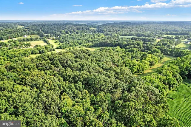 an aerial view of residential houses with outdoor space and trees