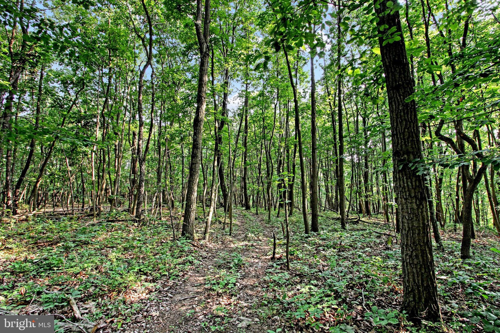 Falls Road Manchester, MD 21102 - Photo 21 of 43