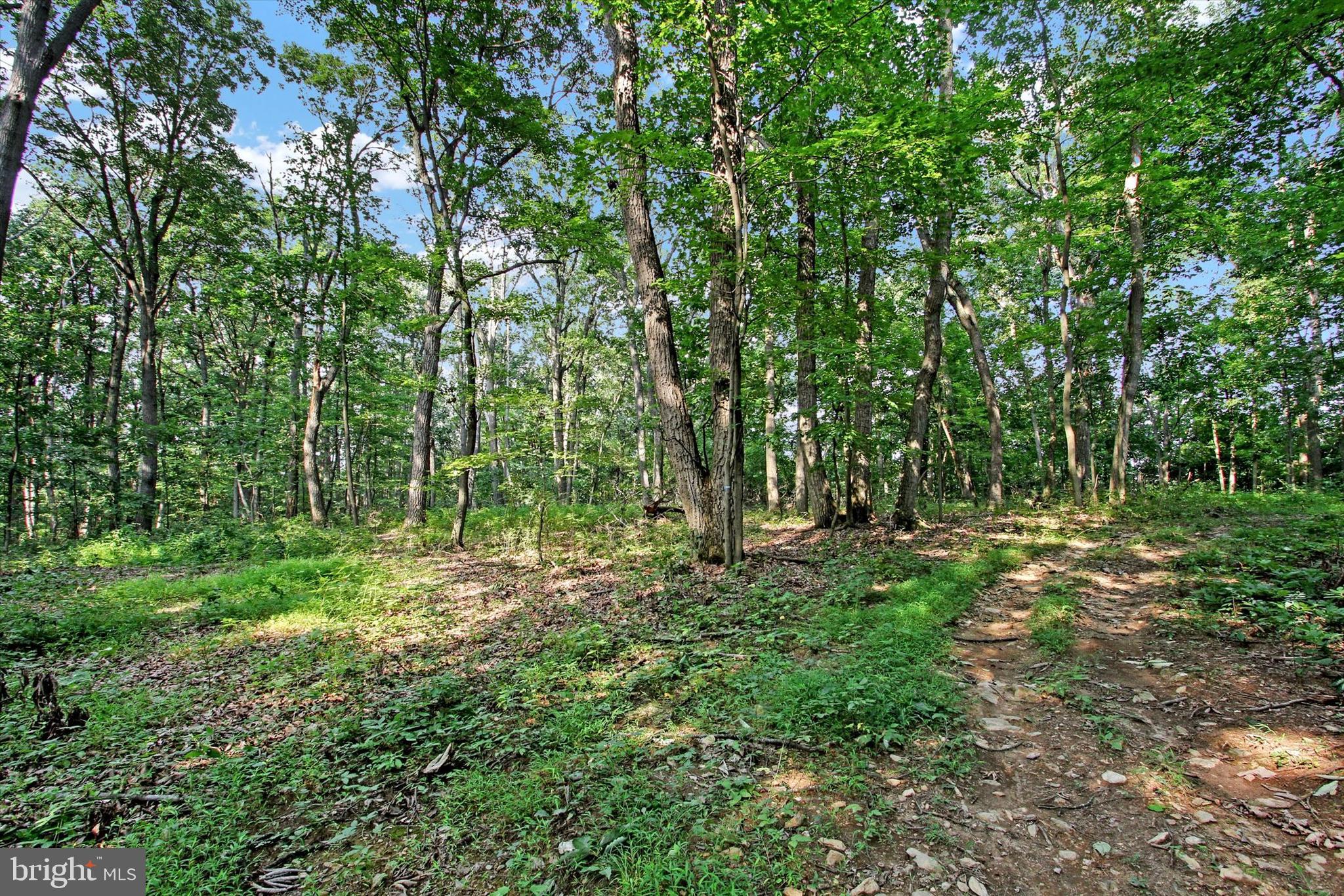 Falls Road Manchester, MD 21102 - Photo 22 of 43