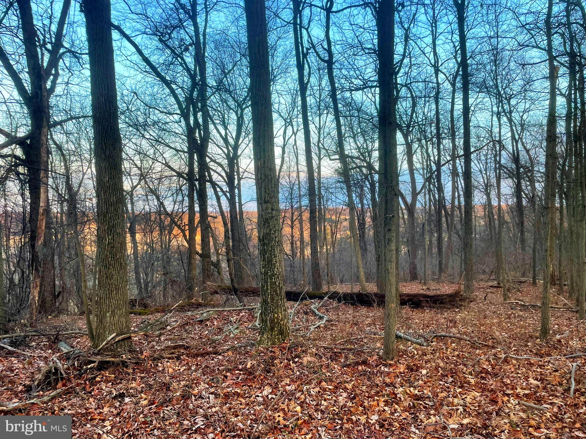 Falls Road Manchester, MD 21102 - Photo 23 of 43