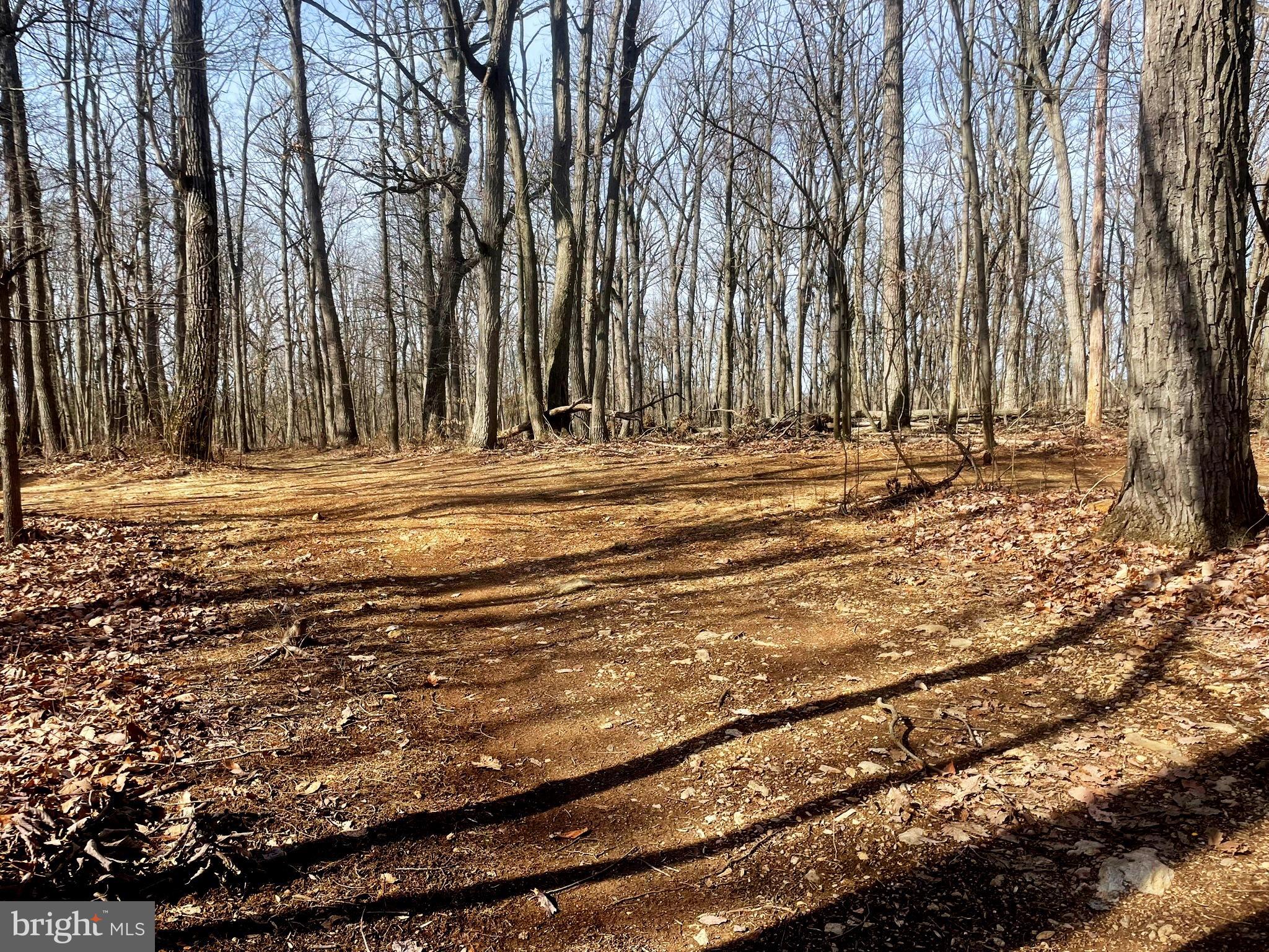 Falls Road Manchester, MD 21102 - Photo 25 of 43