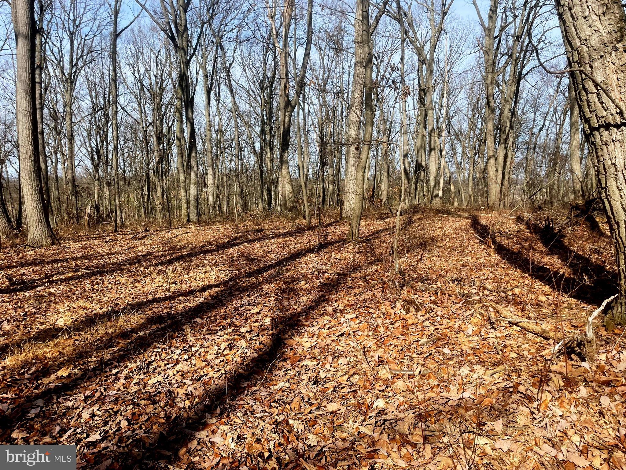 Falls Road Manchester, MD 21102 - Photo 26 of 43