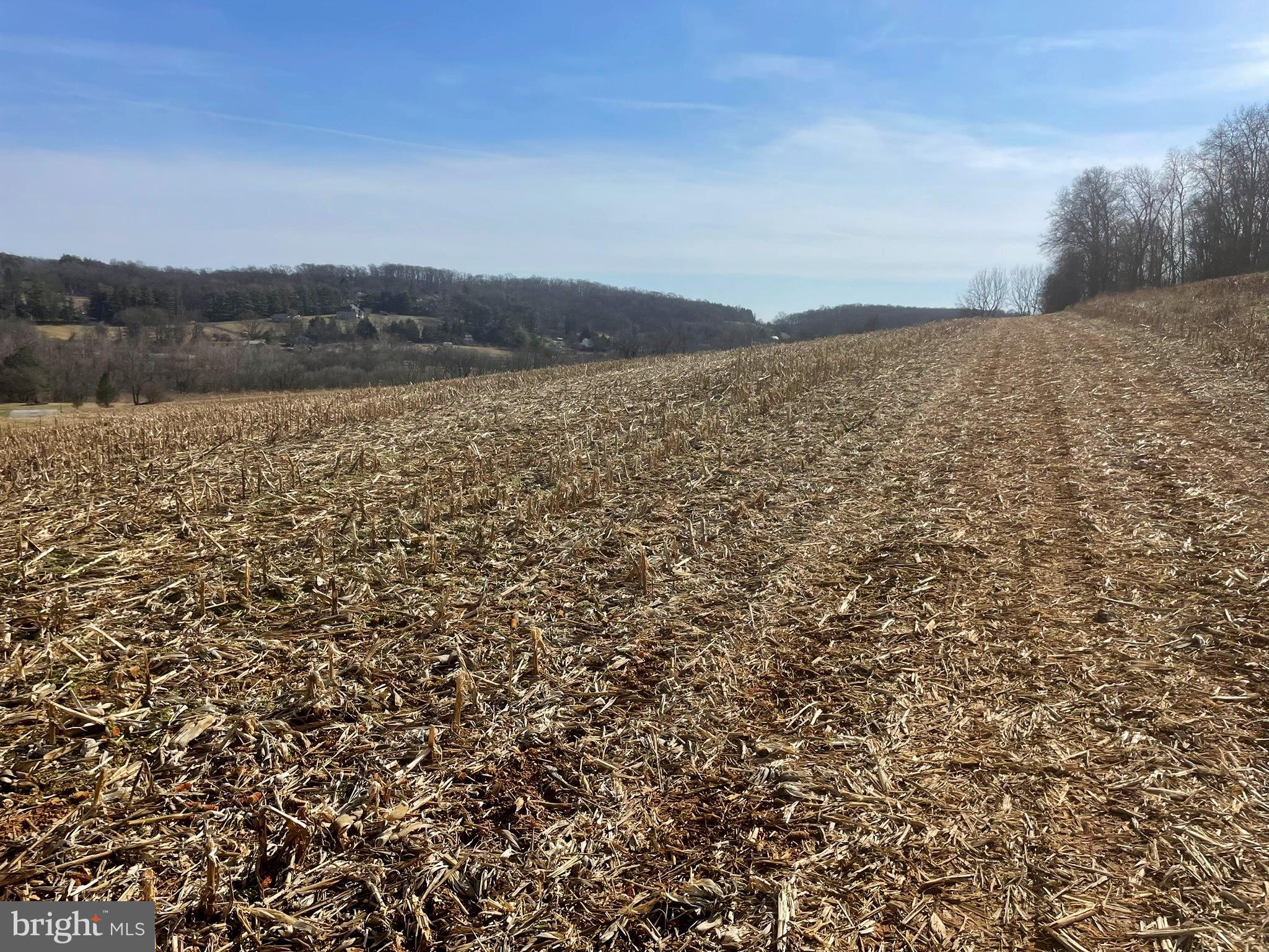 Falls Road Manchester, MD 21102 - Photo 28 of 43