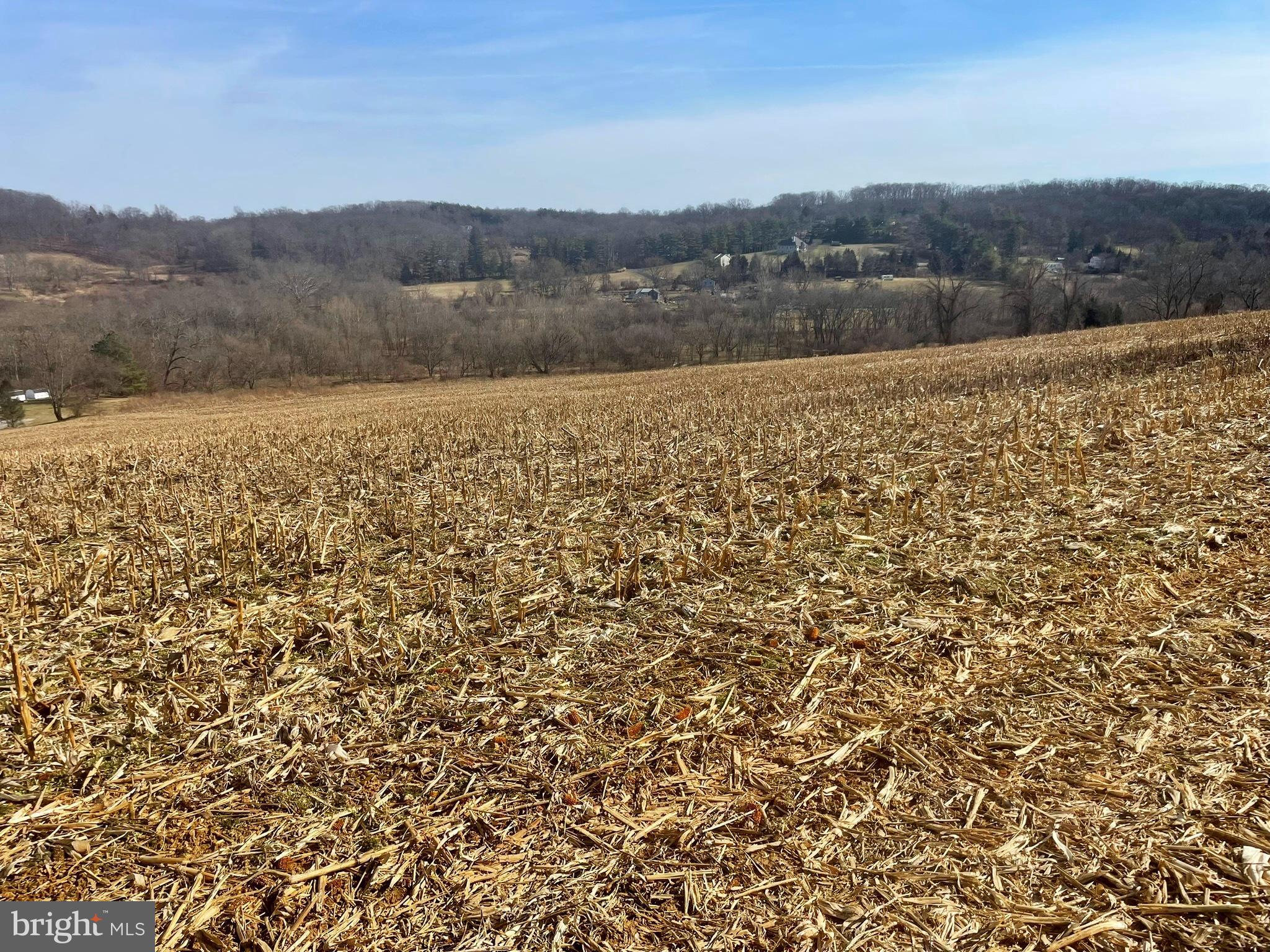 Falls Road Manchester, MD 21102 - Photo 30 of 43