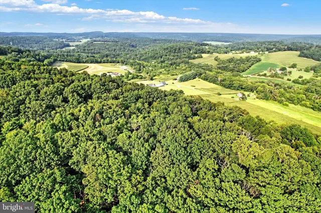 a view of city and ocean