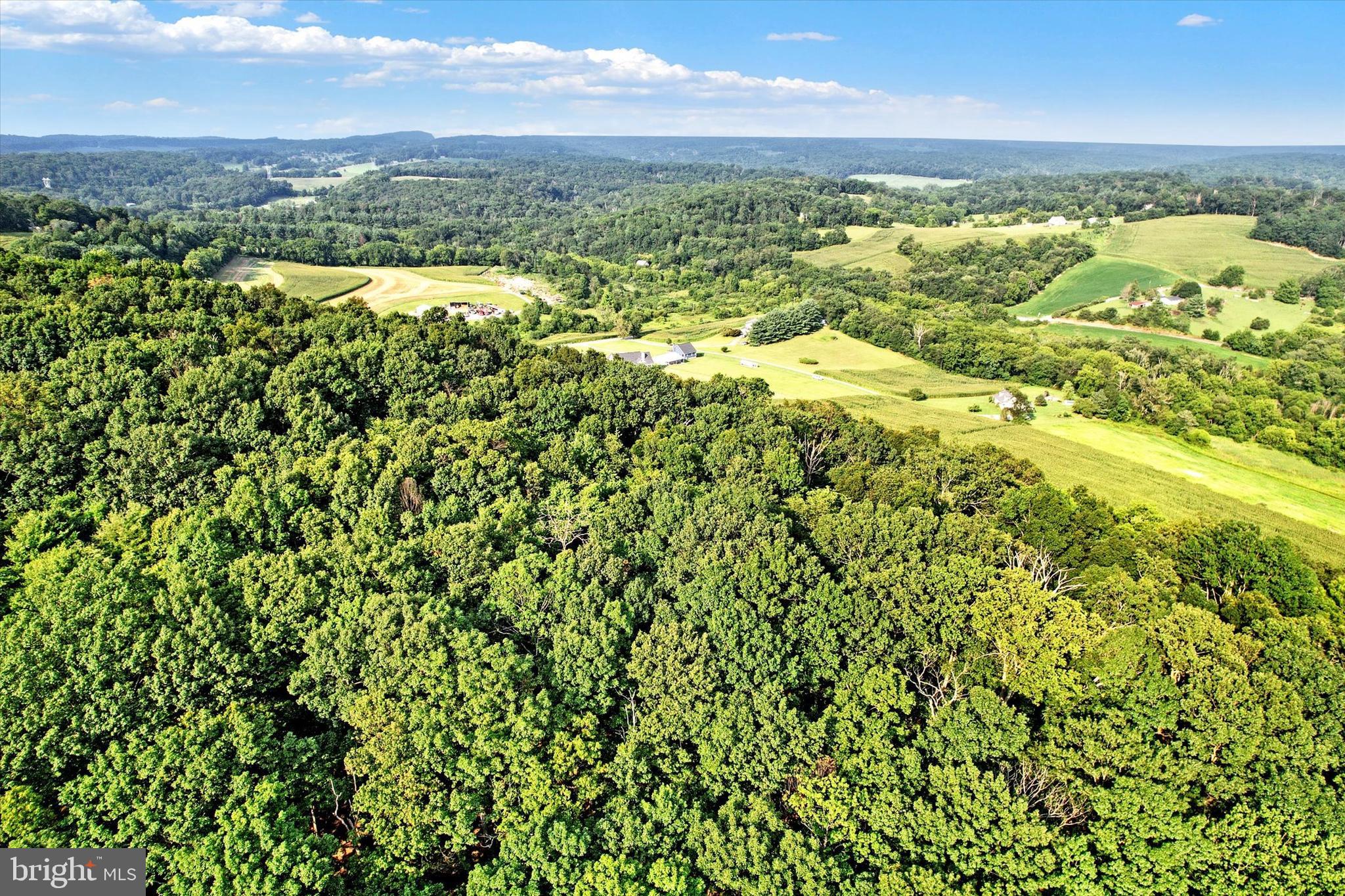 Falls Road Manchester, MD 21102 - Photo 3 of 43