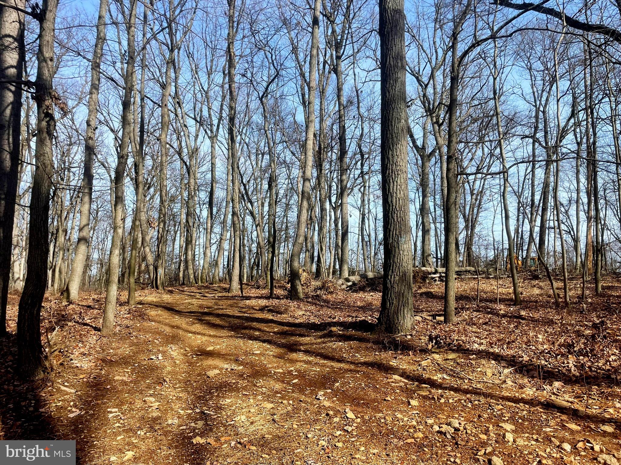 Falls Road Manchester, MD 21102 - Photo 34 of 43