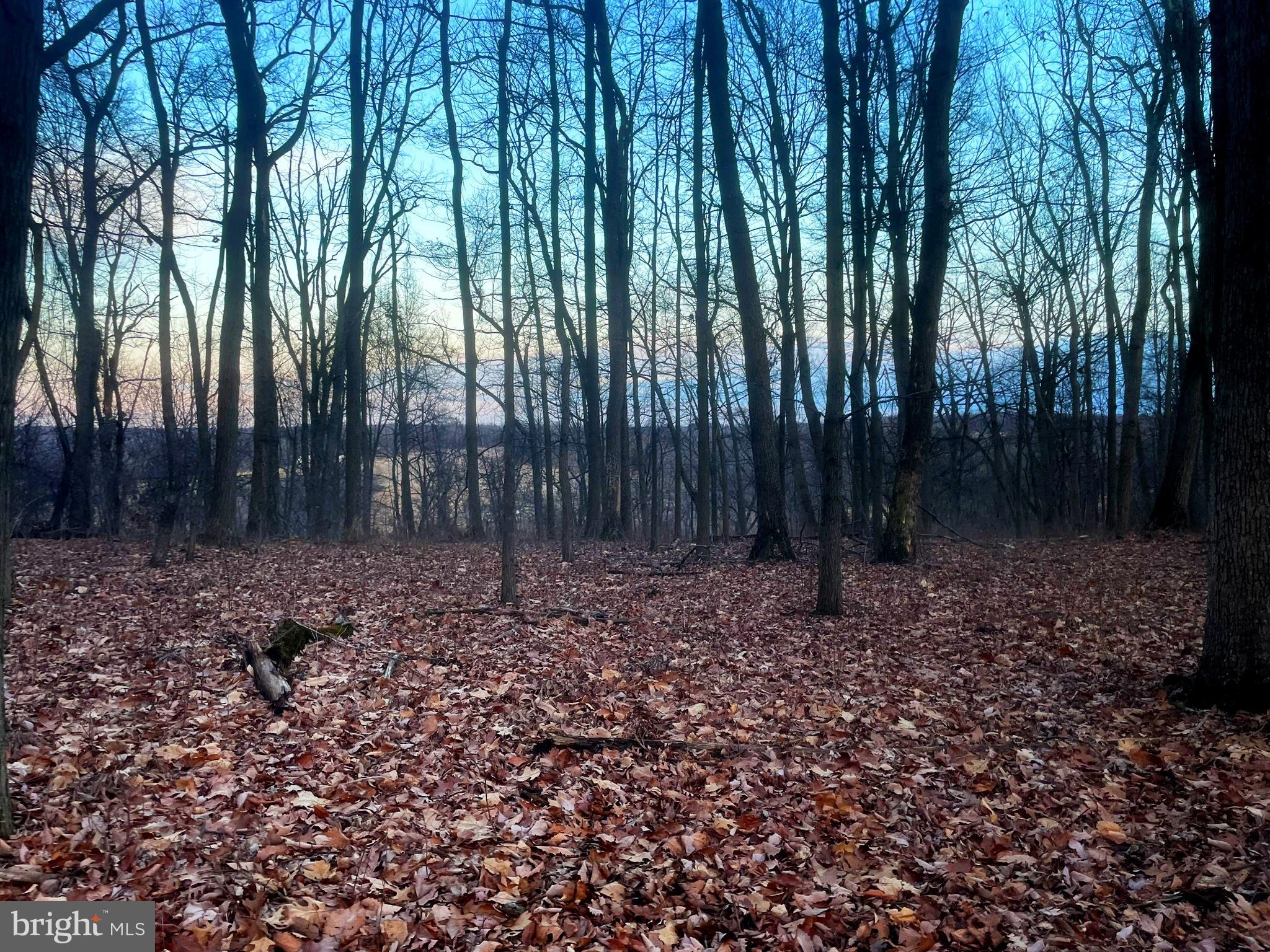 Falls Road Manchester, MD 21102 - Photo 35 of 43