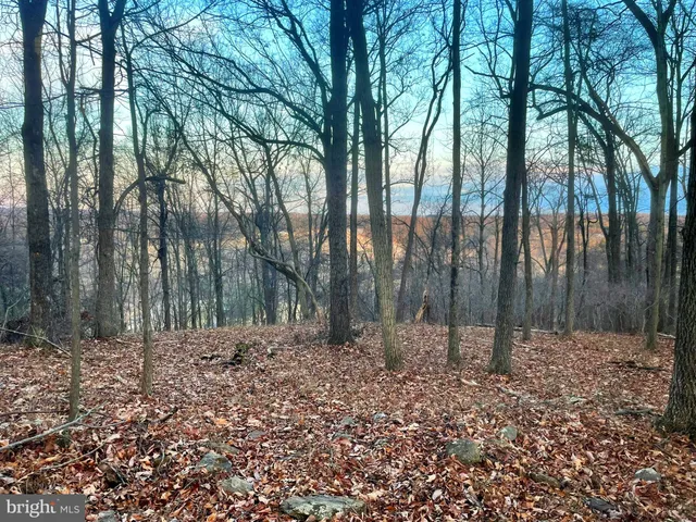 an aerial view of residential house with green space