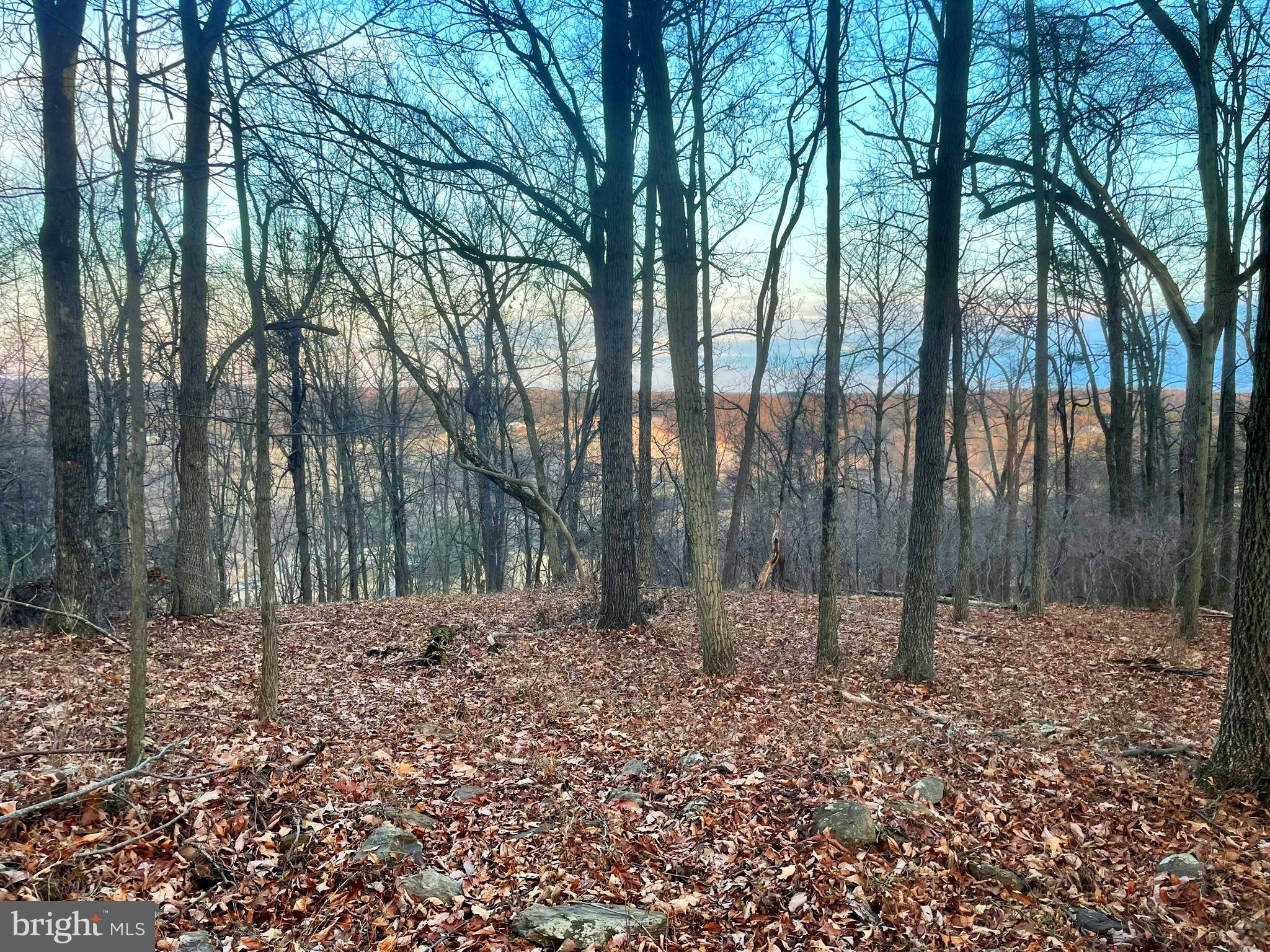 Falls Road Manchester, MD 21102 - Photo 36 of 43