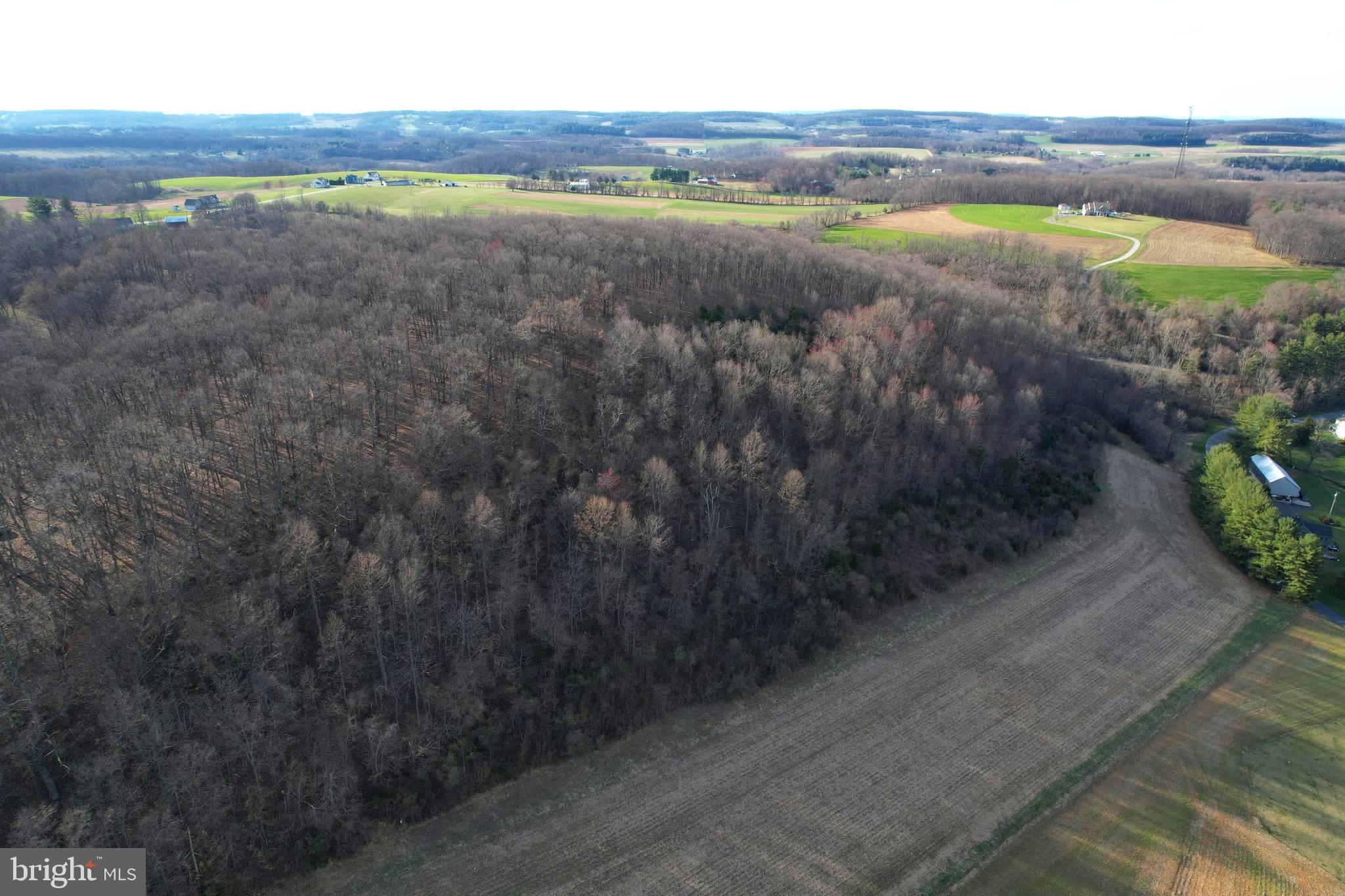 Falls Road Manchester, MD 21102 - Photo 38 of 43