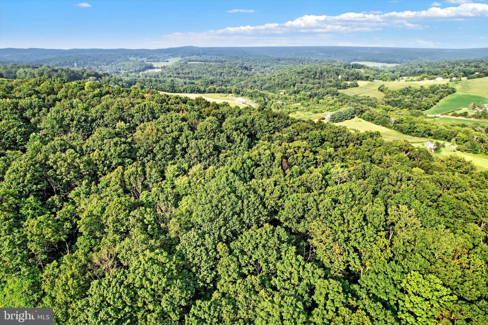 Falls Road Manchester, MD 21102 - Photo 4 of 43