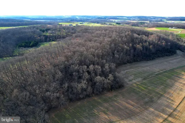 a view of a dry yard