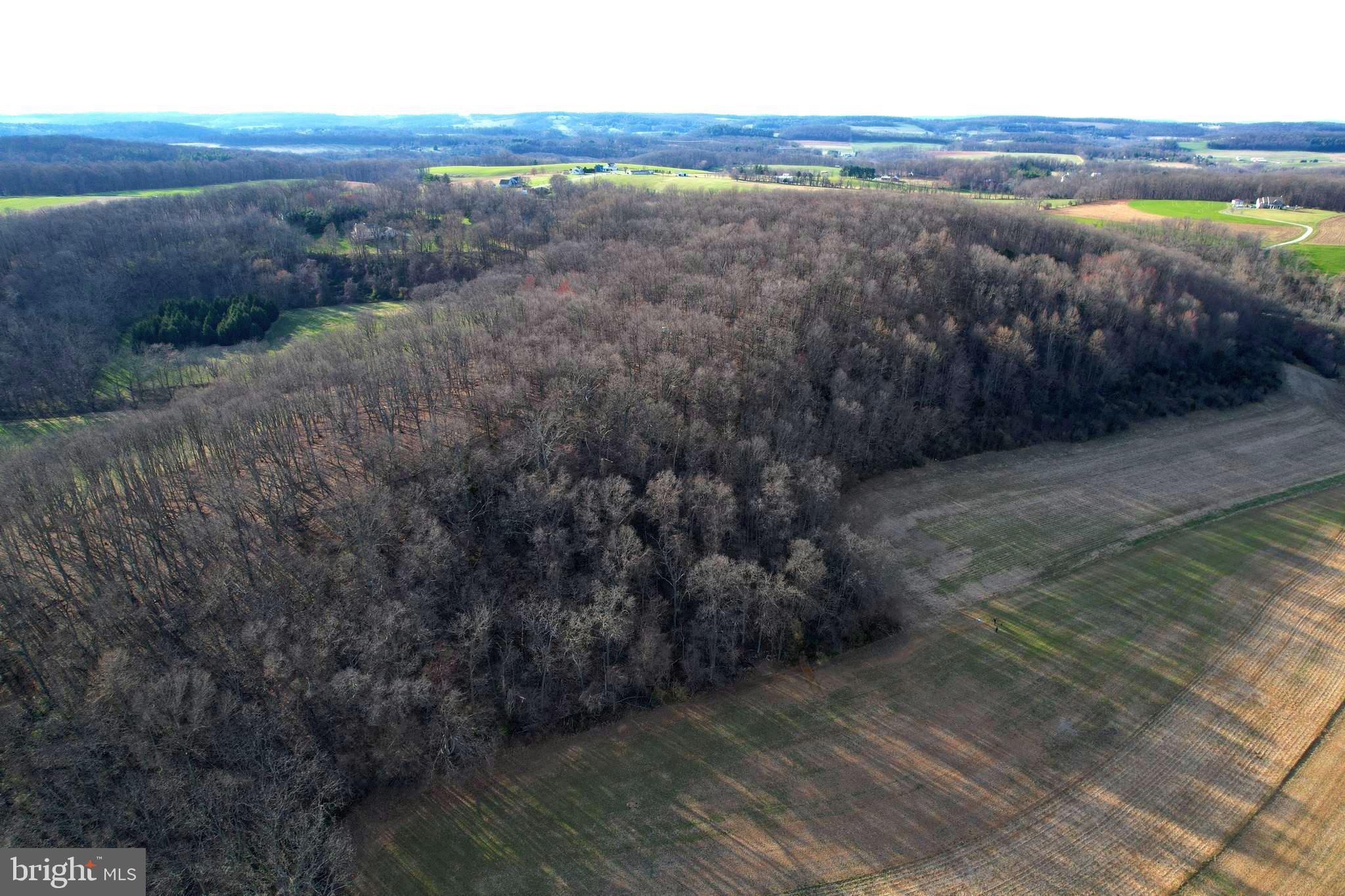 Falls Road Manchester, MD 21102 - Photo 42 of 43 Forest and Field