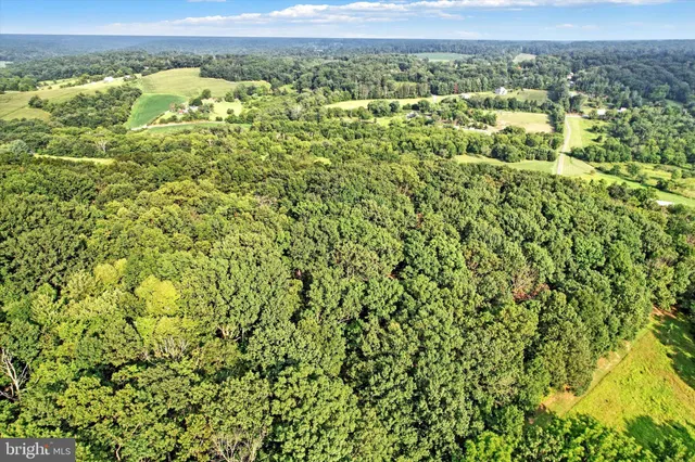 a view of a green field