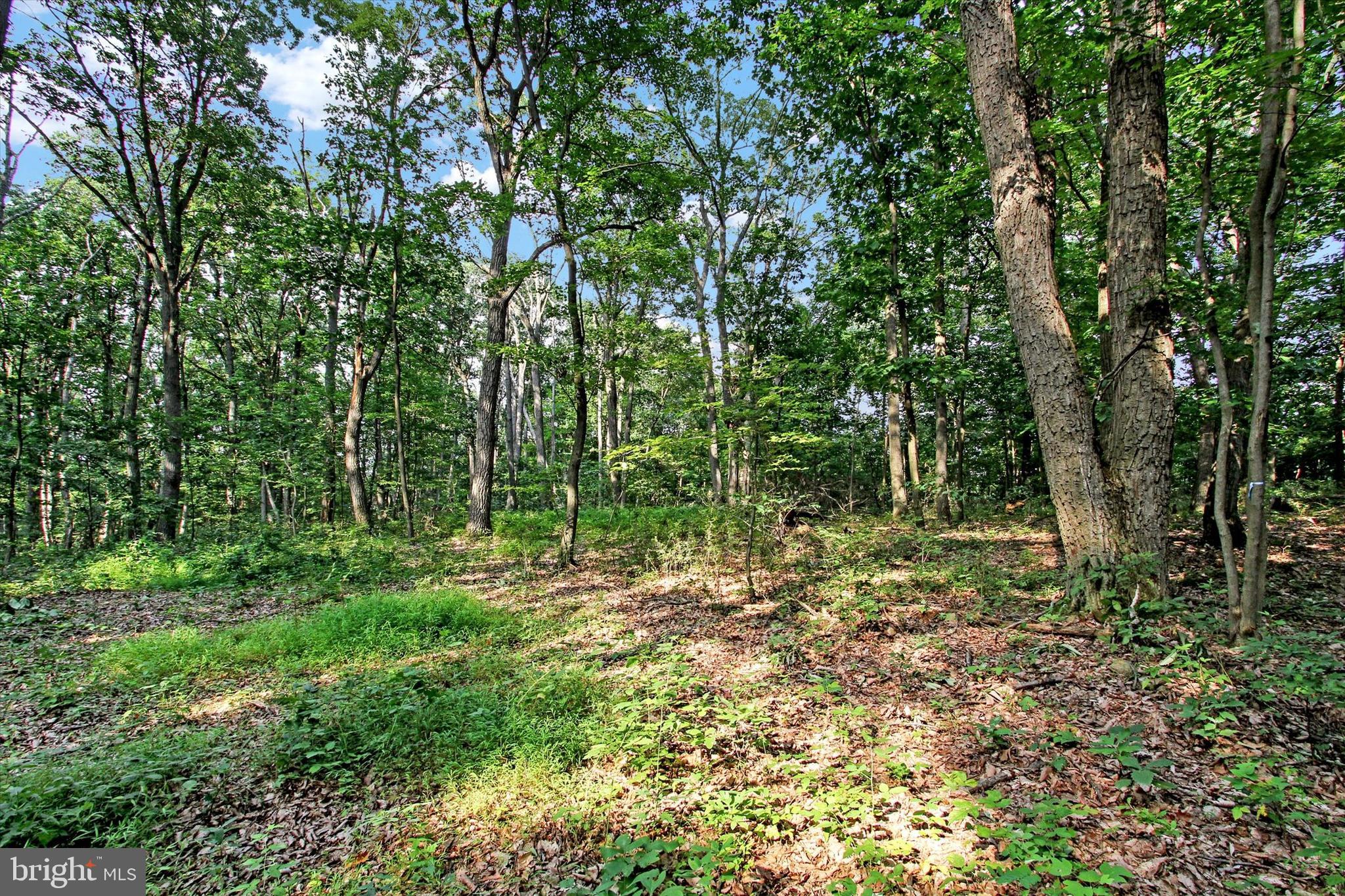 Falls Road Manchester, MD 21102 - Photo 8 of 43