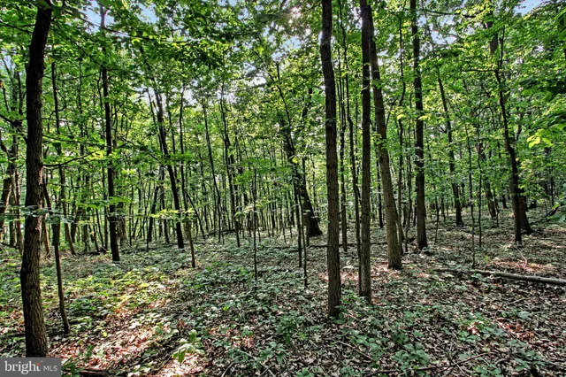 a view of outdoor space