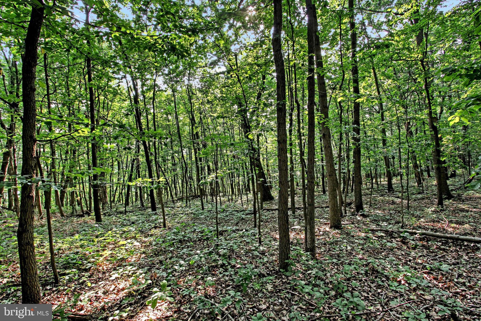 Falls Road Manchester, MD 21102 - Photo 9 of 43