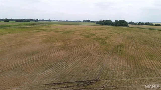 $890,000 | 0 North Of Highway, Puxico, MO 63960