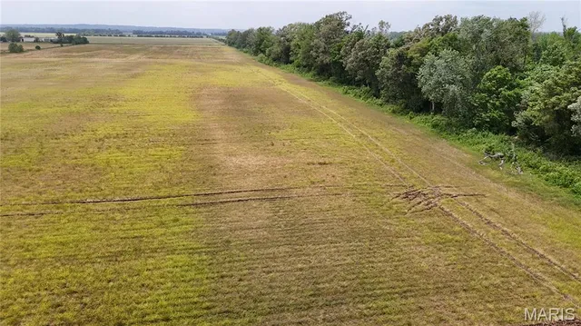 $890,000 | 0 North Of Highway, Puxico, MO 63960