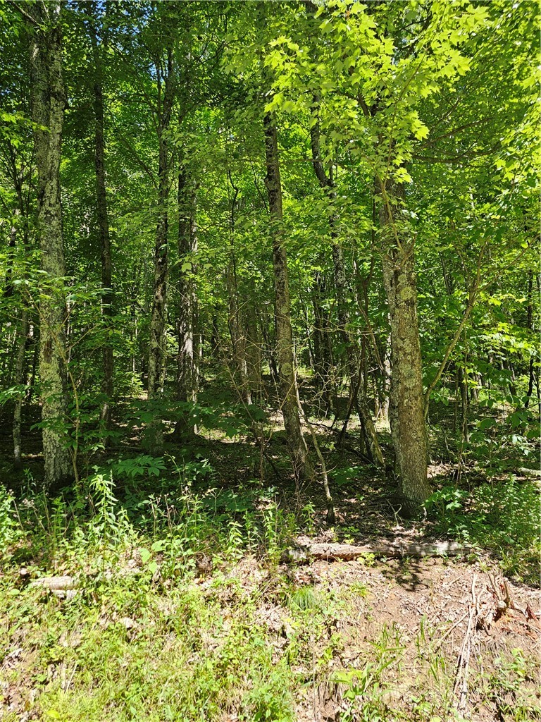 Silverleaf Road Zionville, NC 28698 - Photo 21 of 25