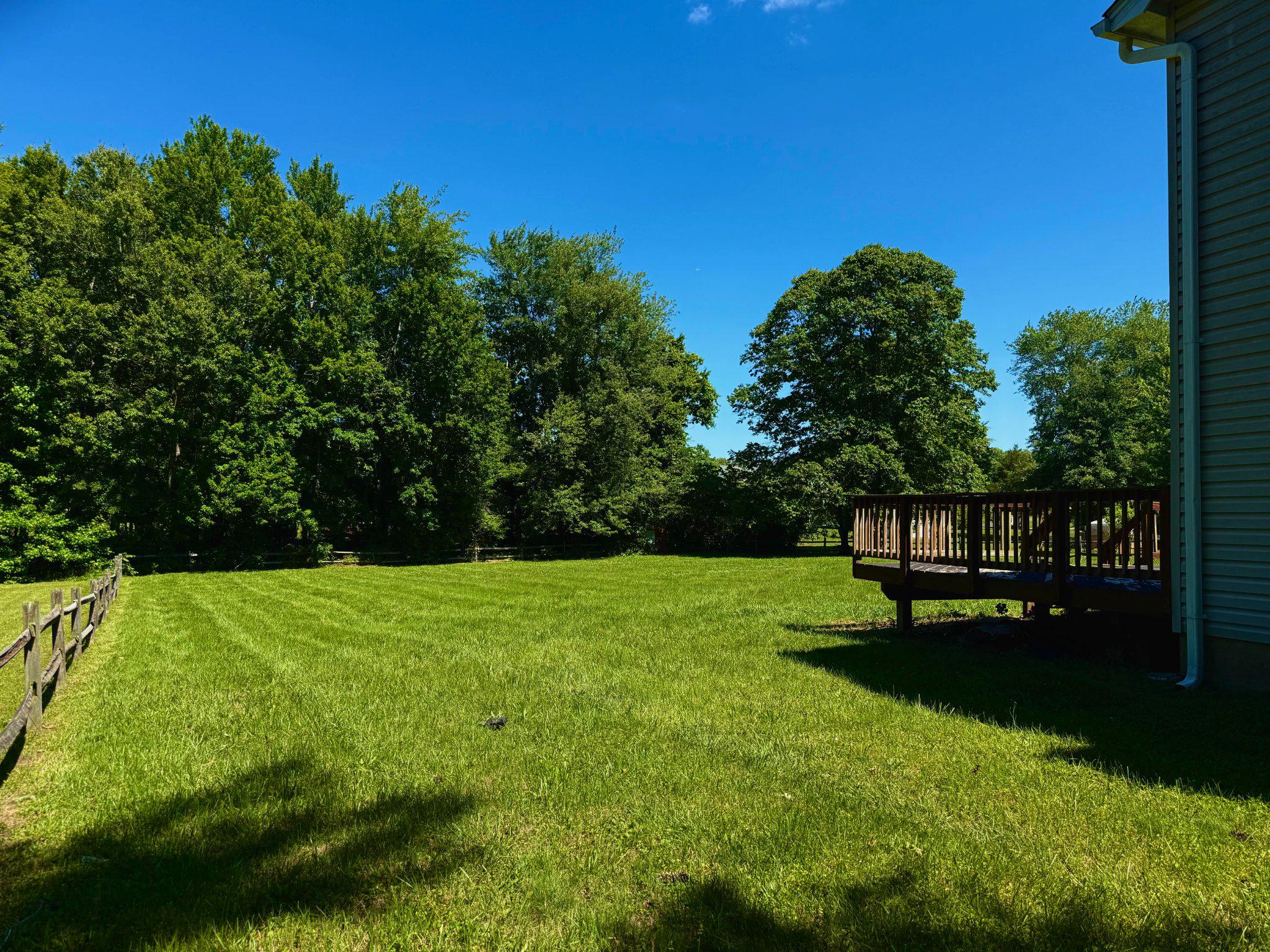 1900 Poplar Road Stafford, VA 22556 - Photo 2 of 4 Beautiful Backyard