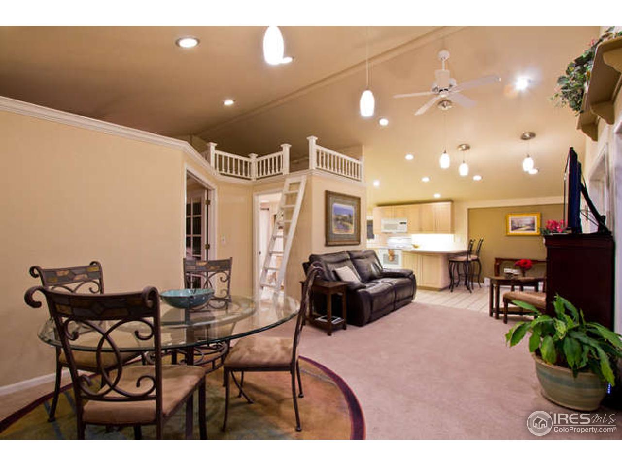 917 East Prospect Road Fort Collins, CO 80525 - Photo 13 of 40 Great Room