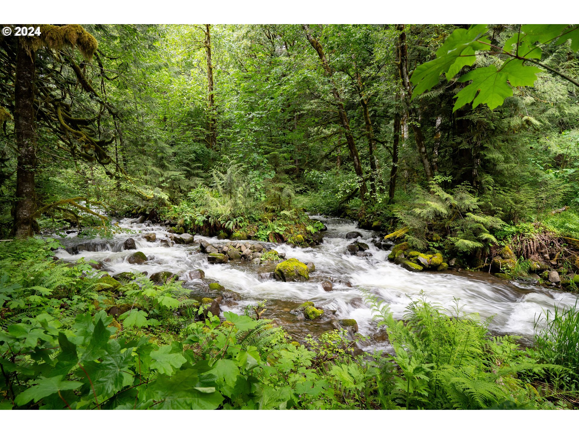 2162 Duncan Creek Road Stevenson, WA 98648 - Photo 30 of 38 Acreage