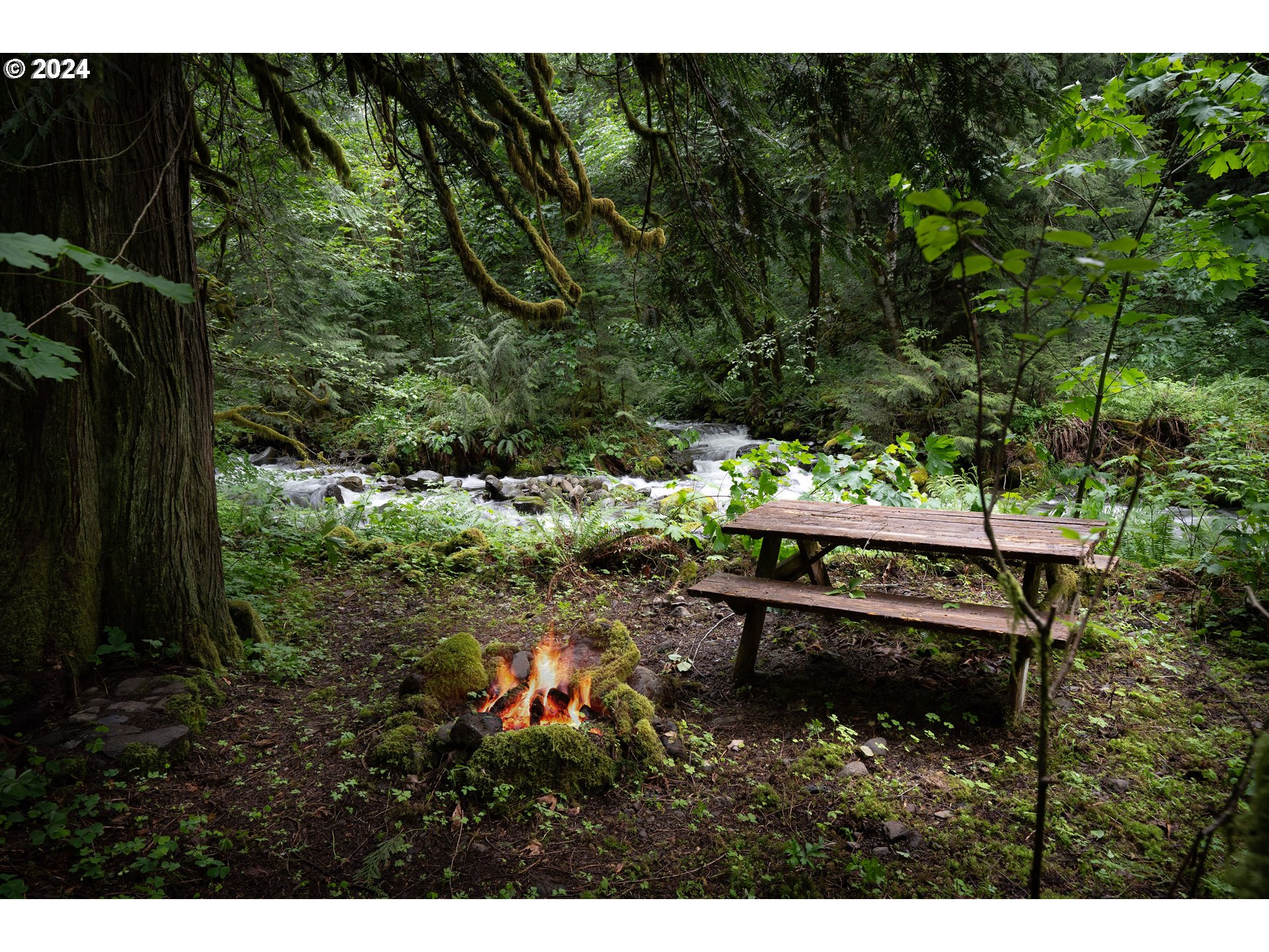 2162 Duncan Creek Road Stevenson, WA 98648 - Photo 31 of 38 a view of a wooden bench sitting in the forest
