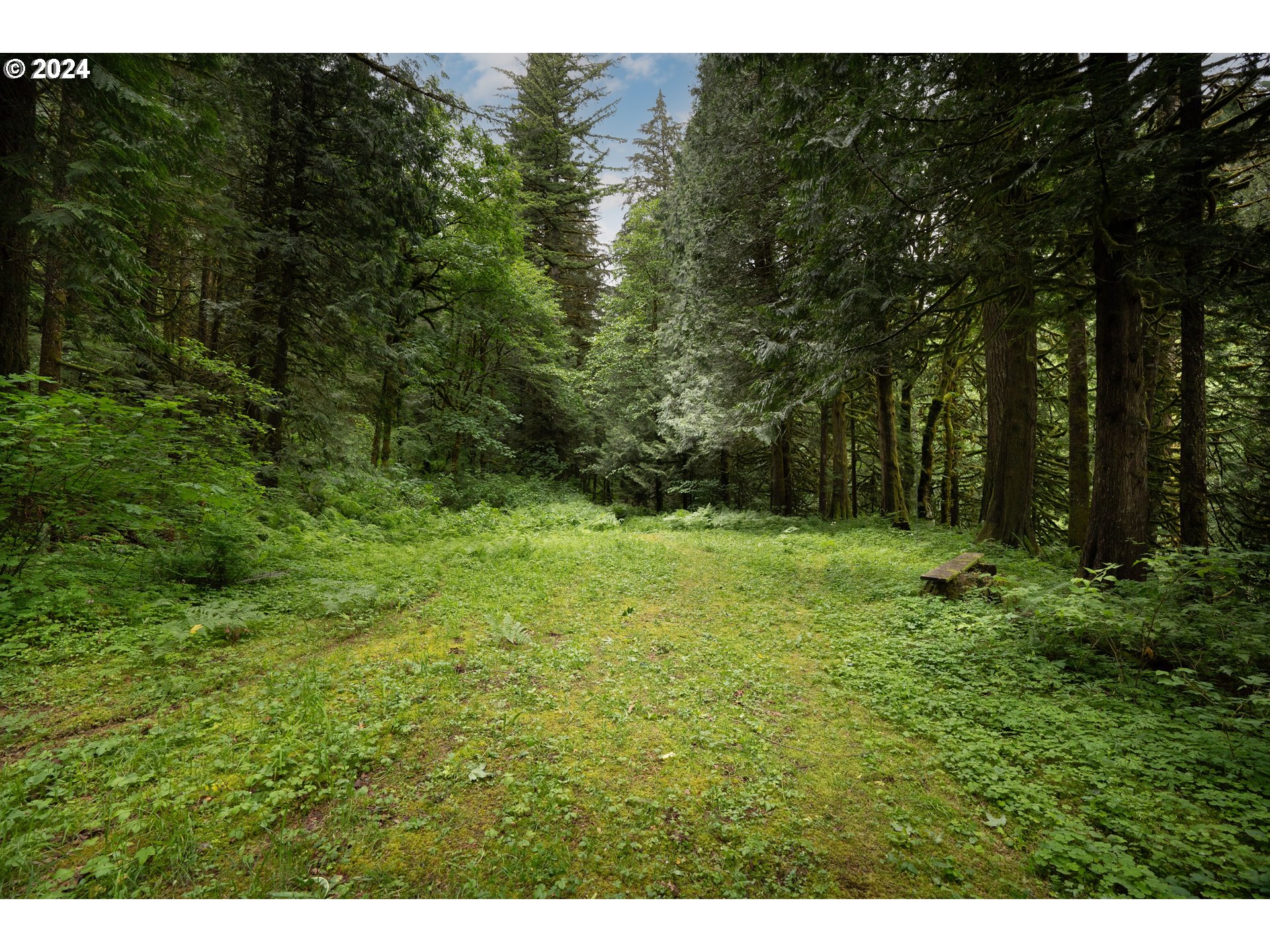2162 Duncan Creek Road Stevenson, WA 98648 - Photo 32 of 38 a view of outdoor space and yard