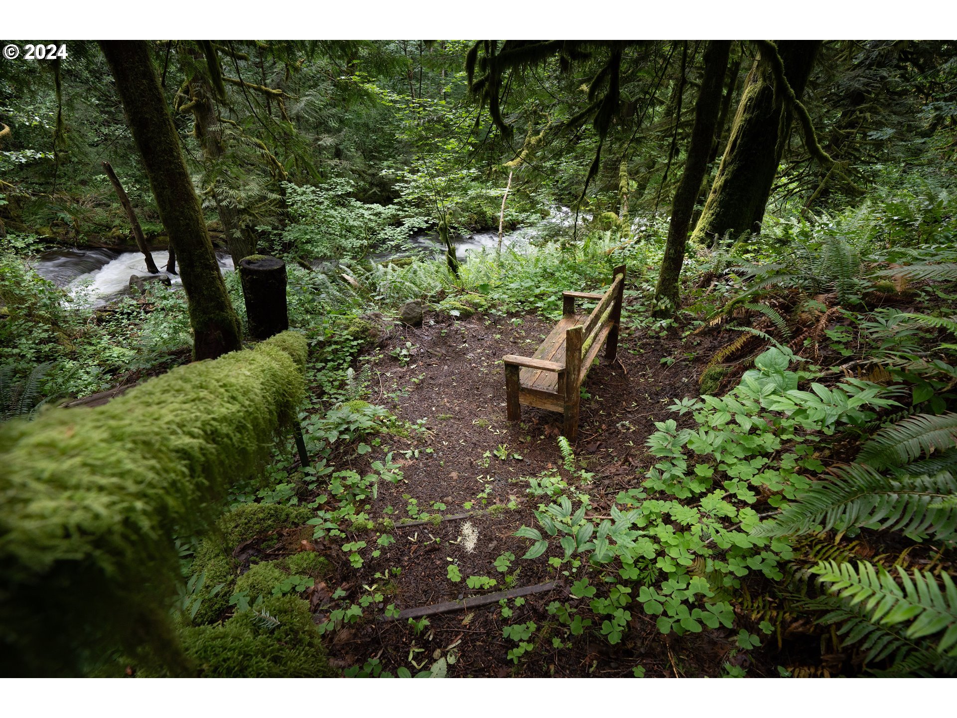 2162 Duncan Creek Road Stevenson, WA 98648 - Photo 33 of 38 a view of a bench in a garden