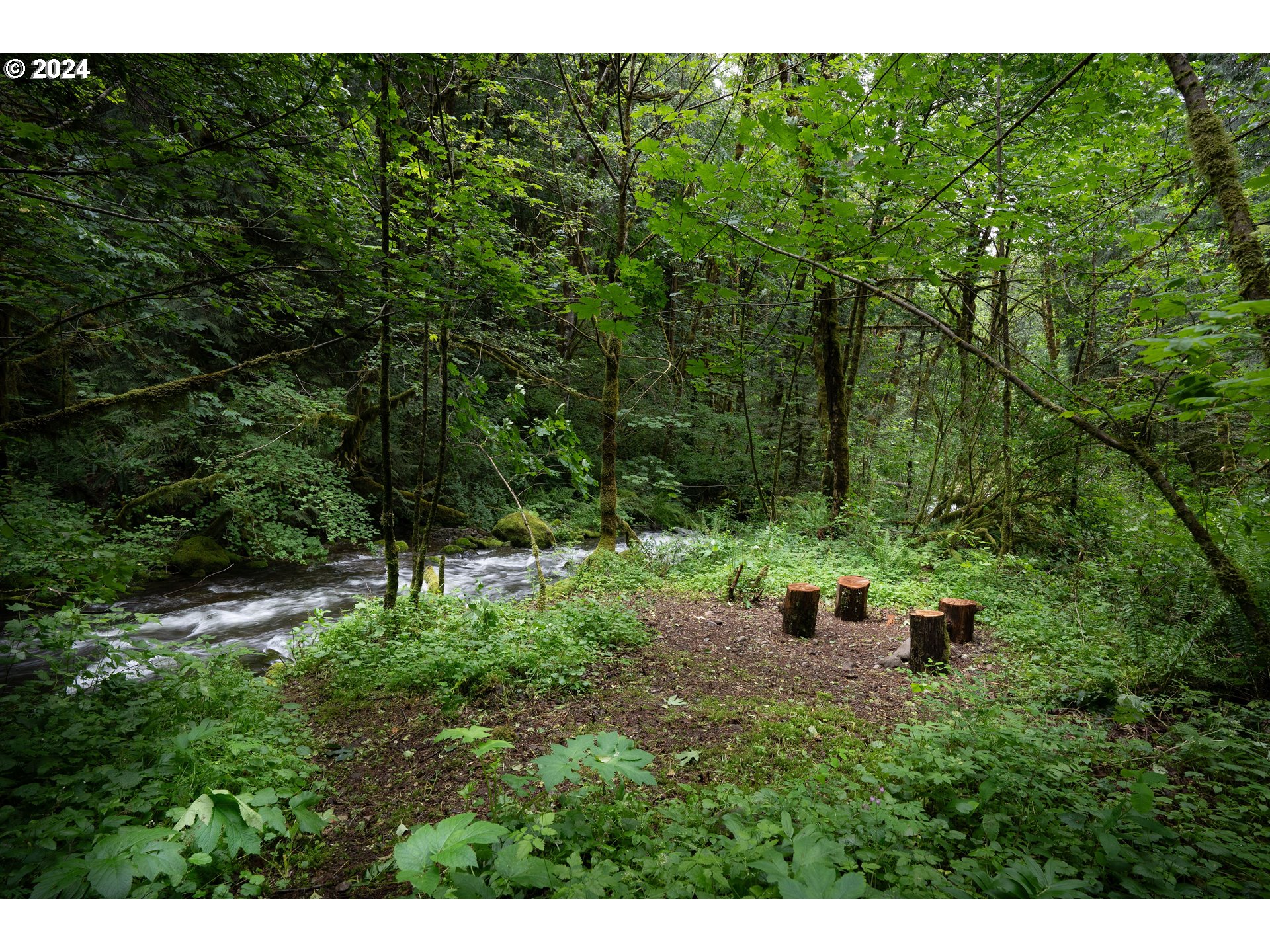 2162 Duncan Creek Road Stevenson, WA 98648 - Photo 35 of 38 a backyard of a house with lots of green space