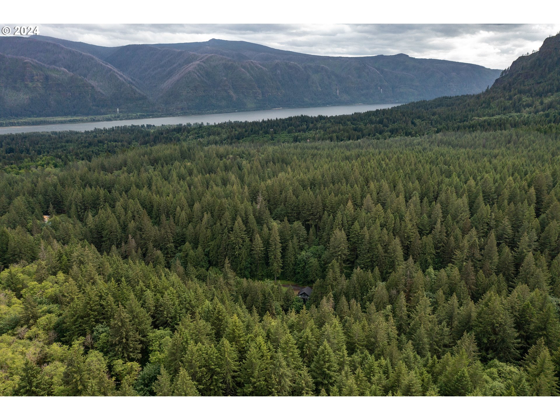 2162 Duncan Creek Road Stevenson, WA 98648 - Photo 36 of 38 a view of a lush green hillside and a houses
